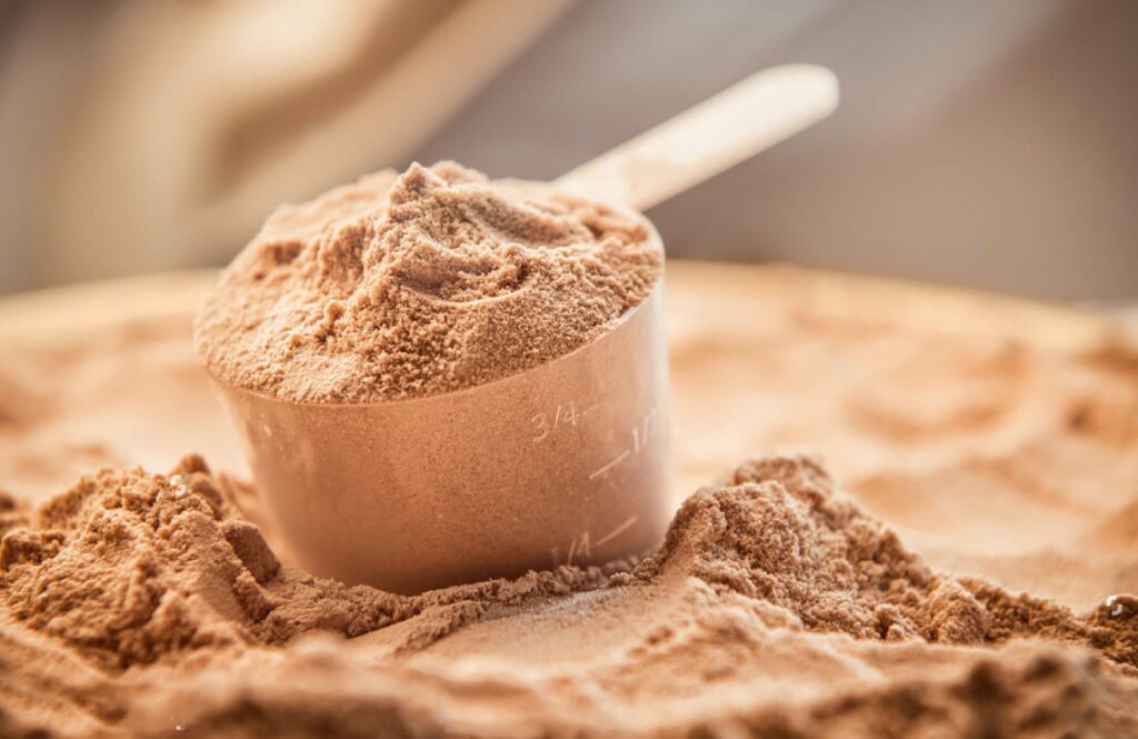 🎁 Whey Protein Caseiro